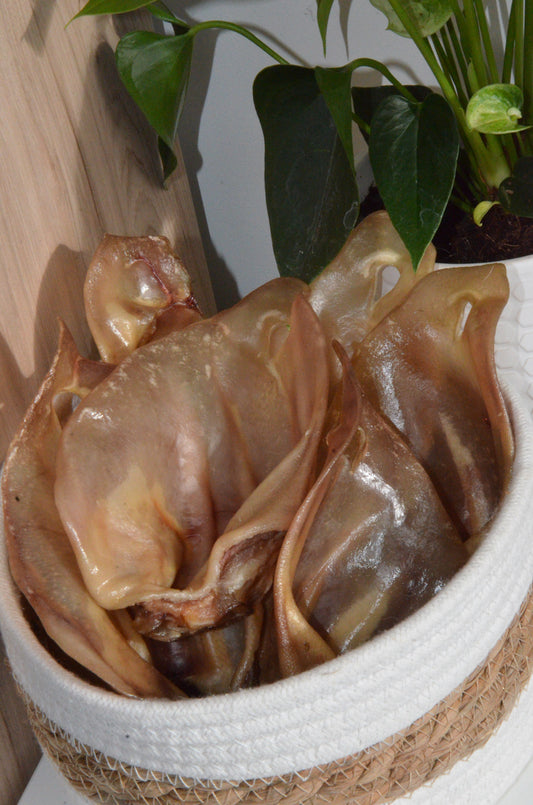 Oreille de porc avec pavillon