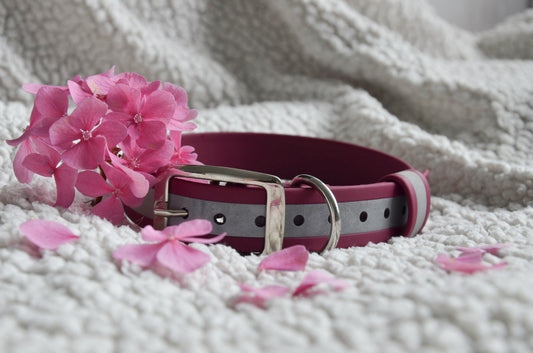 Fosfo - Collier en biothane