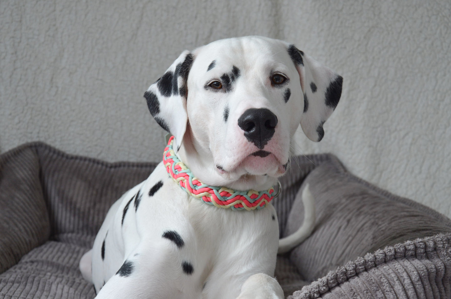 Matchi - Collier en paracorde