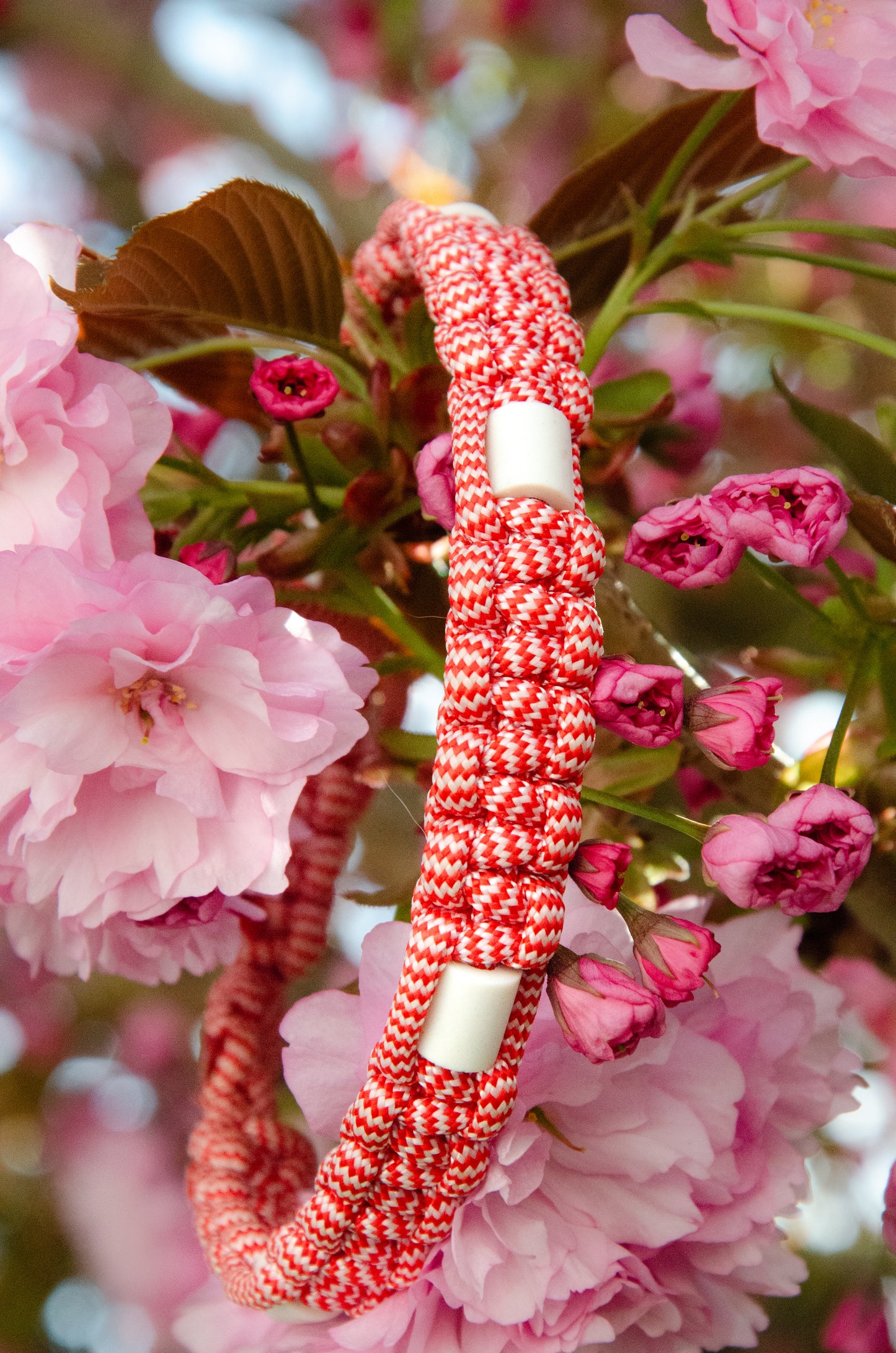 Collier perle EM - Paracrode