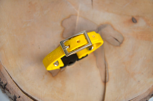 Adventure - Collier pour chats