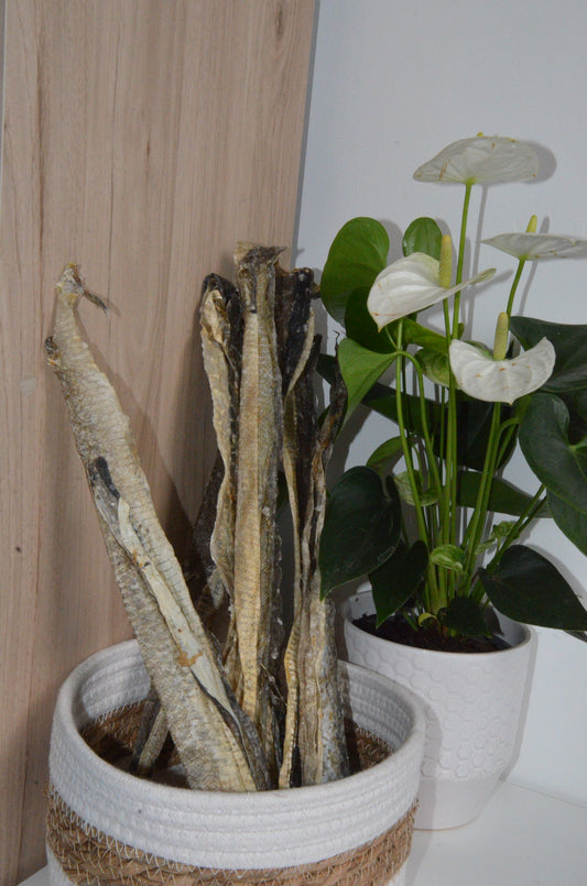 Peau de saumon