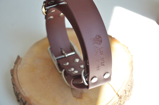 Bloo - collier en biothane et paracorde